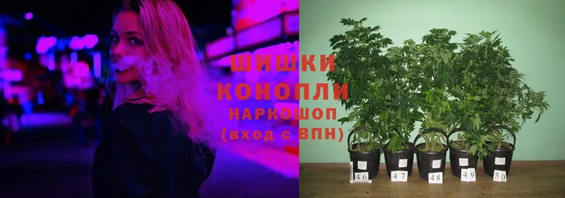 Бошки марихуана Ganja  Дмитриев 